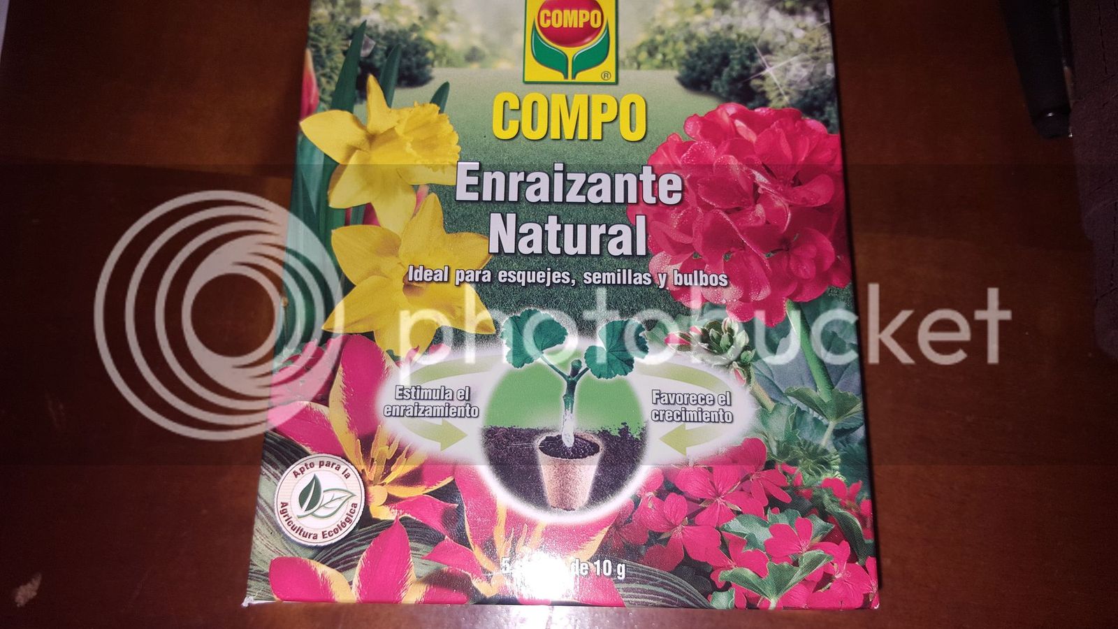 20160914_104634.jpg