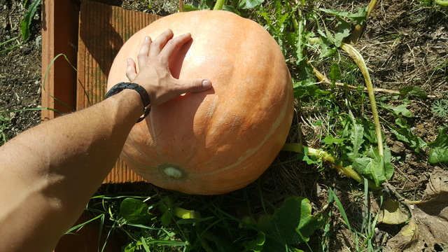 20160918_124706.jpg