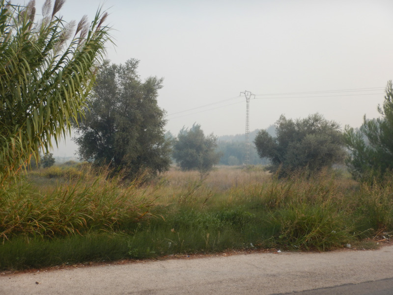 20161017suecafum03.jpg