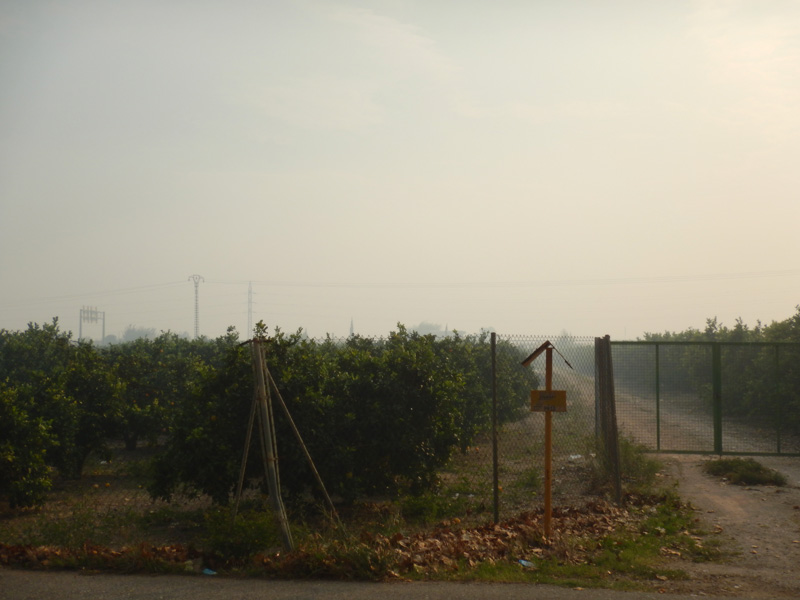 20161017suecafum04.jpg