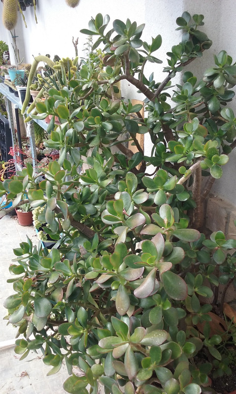 20170505_111746.jpg