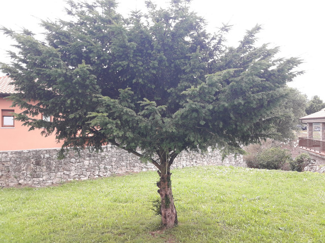 20170713_180147.jpg