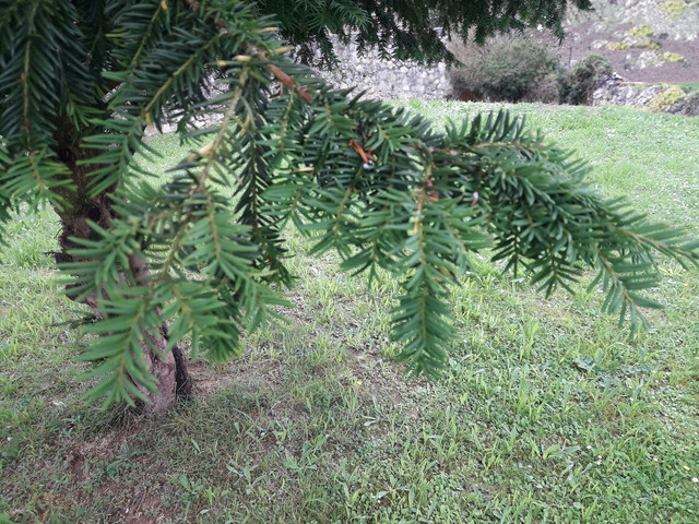 20170713_180155.jpg