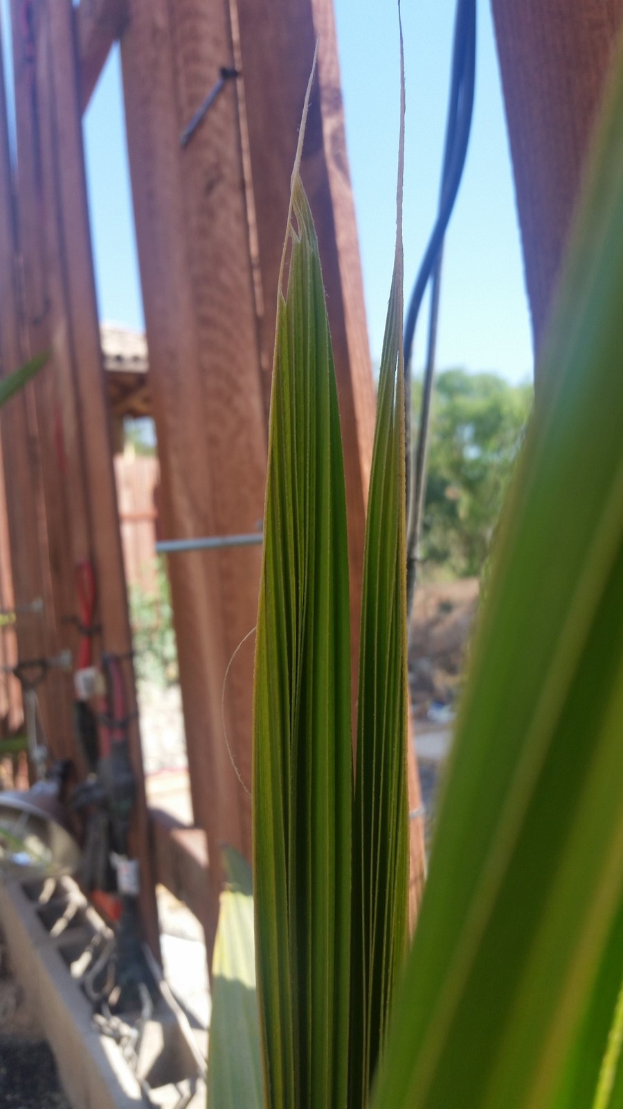 20170729_165016.jpg
