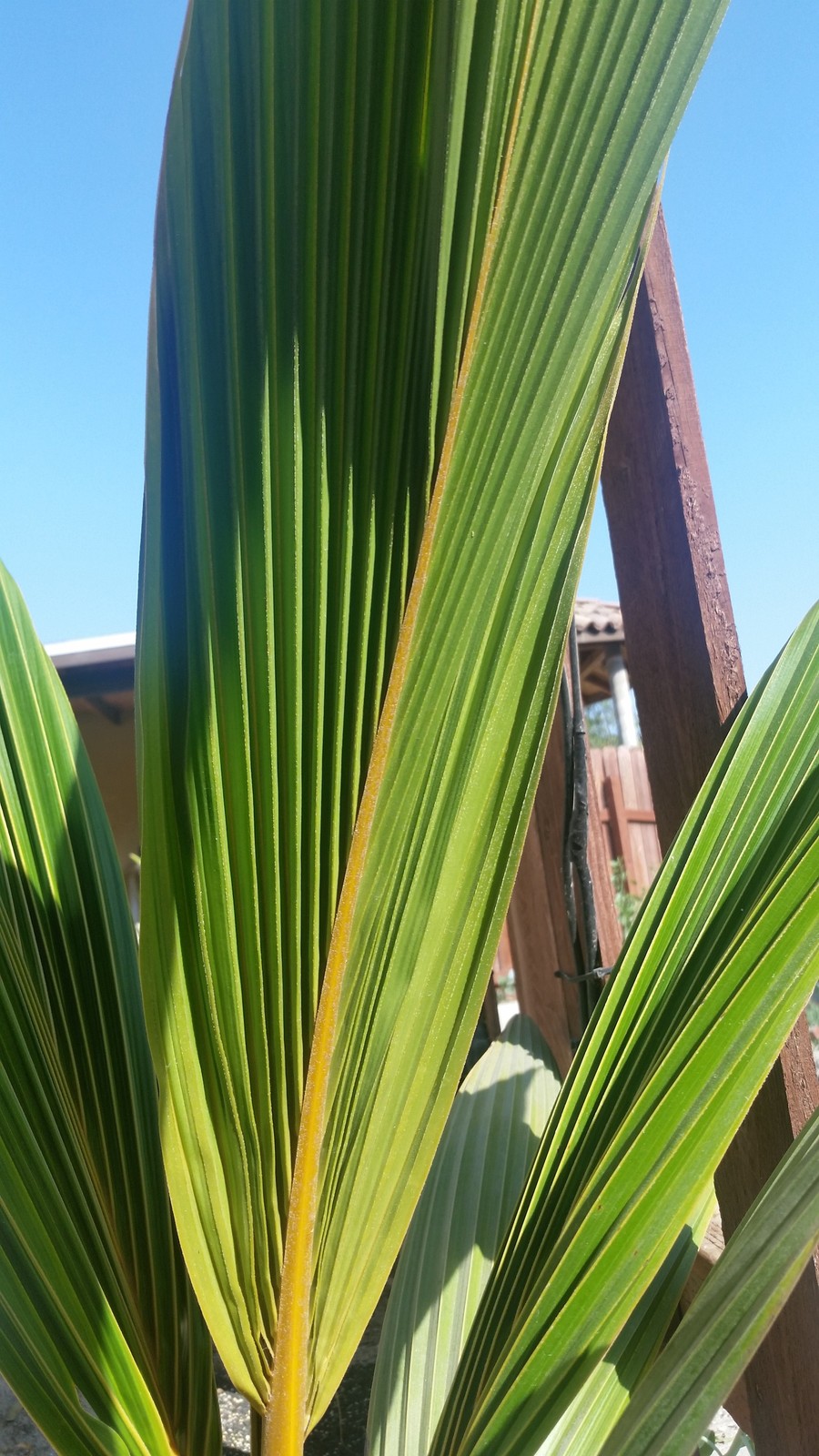 20170729_165141.jpg