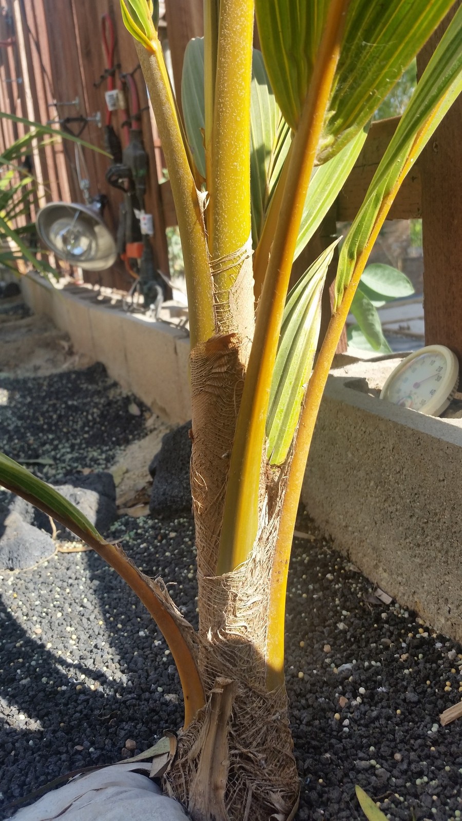 20170729_165153.jpg