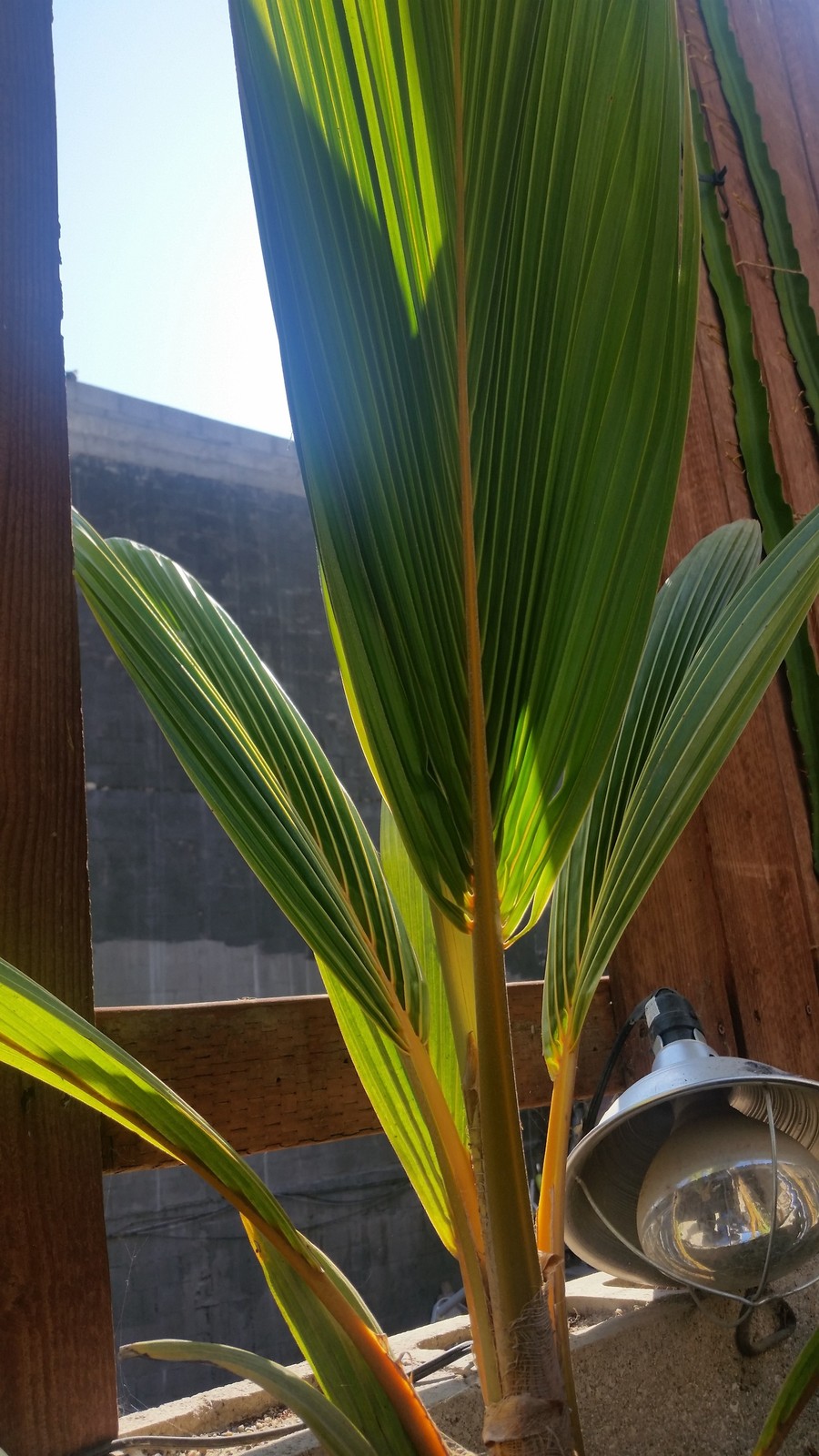 20170729_165231.jpg