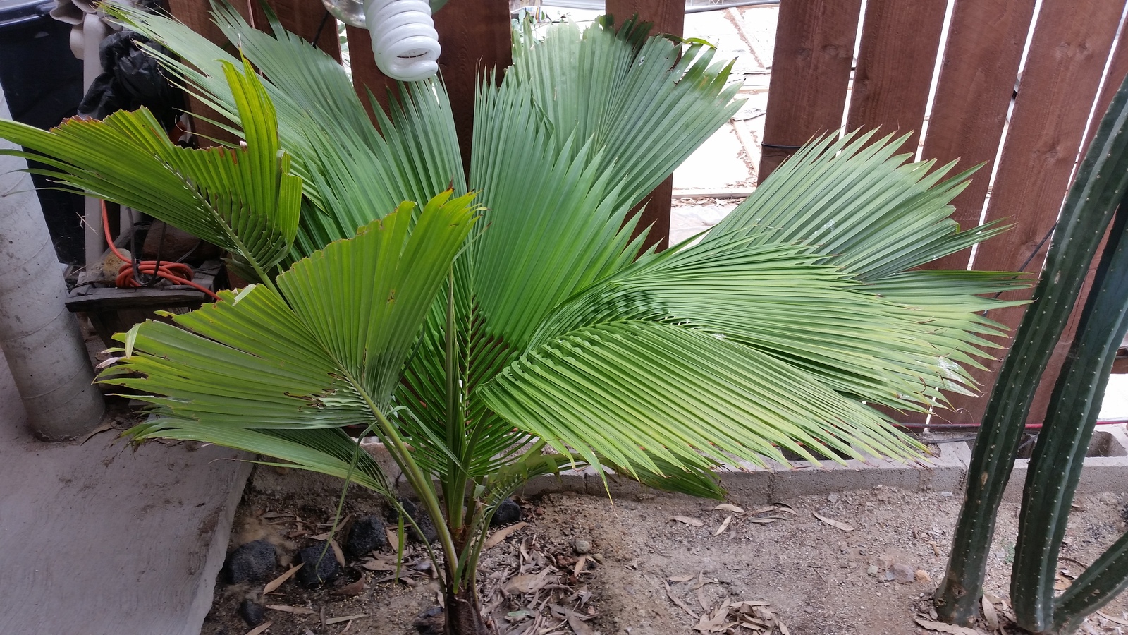 20170823_124426.jpg