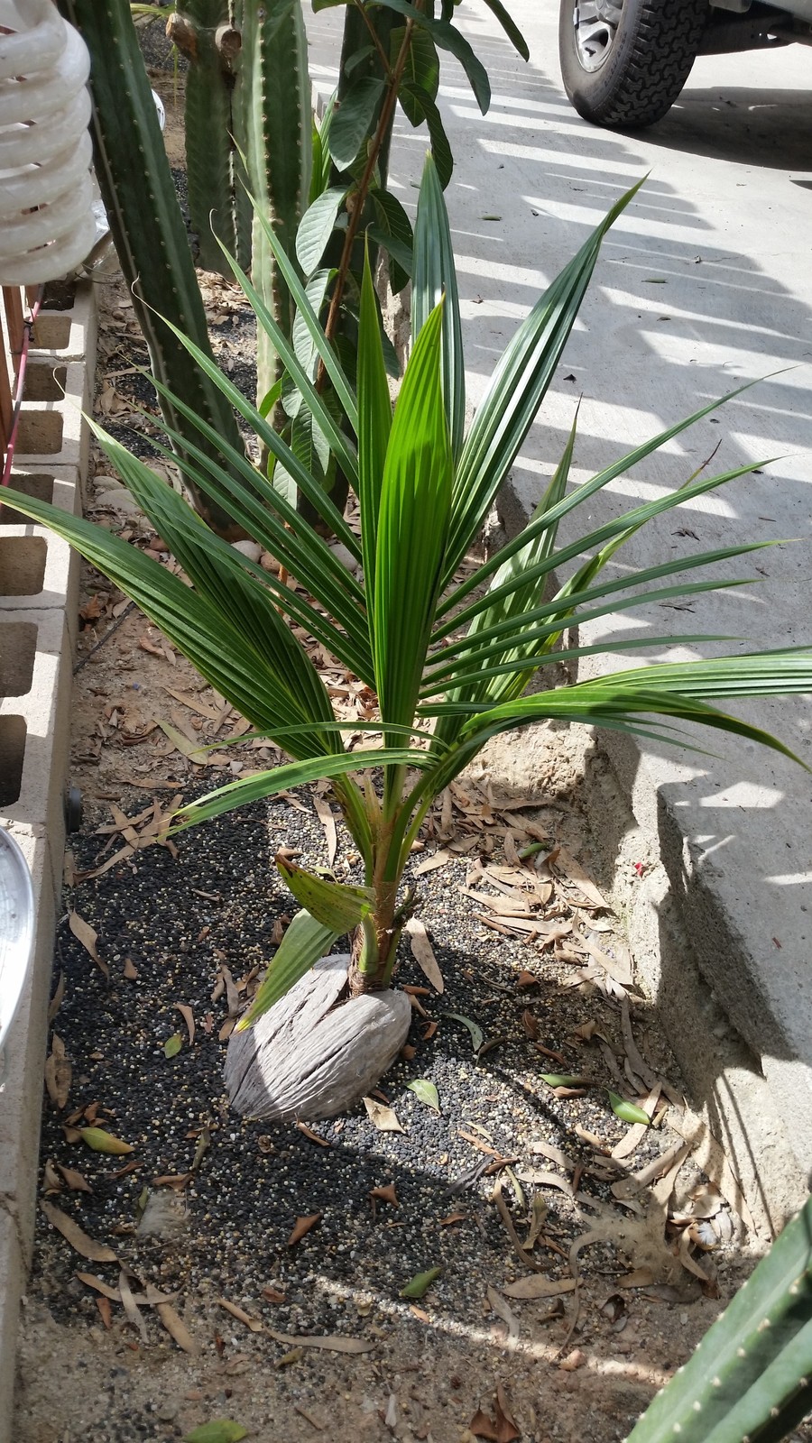 20170903_152941.jpg