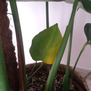 20170917_095505.jpg