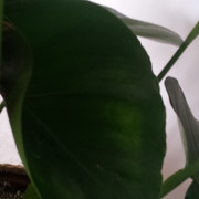 20170917_095510.jpg