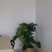 20170917_095527.jpg