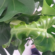 20170917_095802.jpg