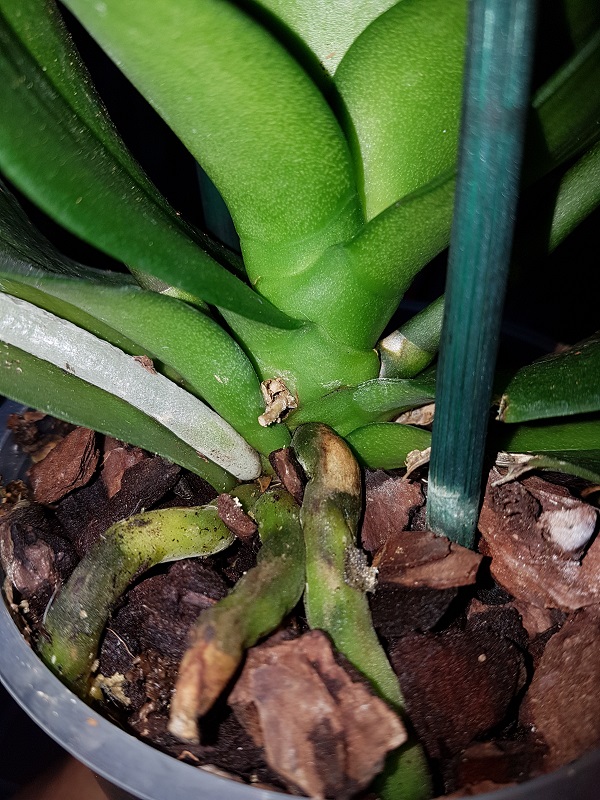 20170921_075318.jpg