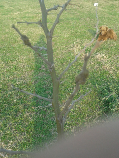 20170924_174507.jpg