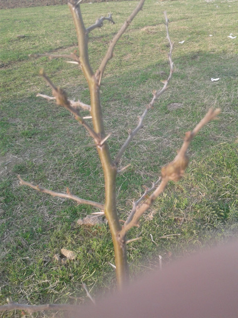 20170924_174511.jpg