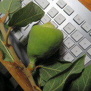 20170926151422.jpg