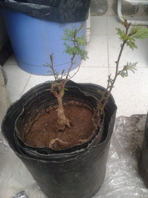 20170927_144247.jpg