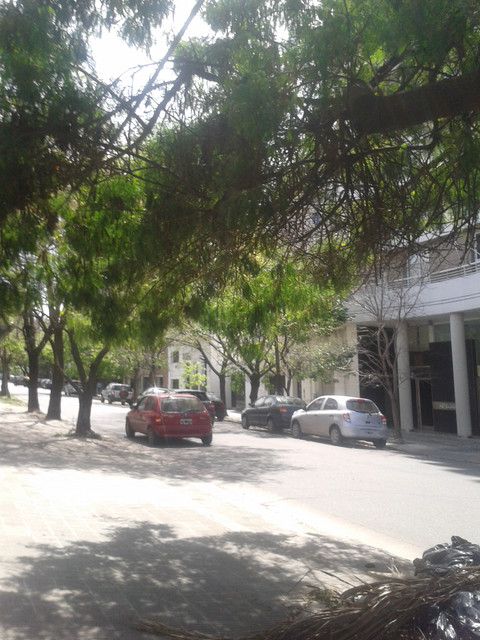 20171007_114237.jpg