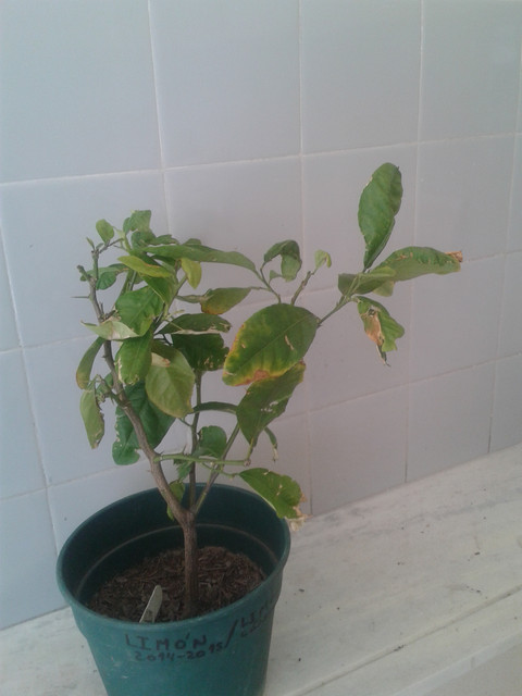 20171014_125246.jpg