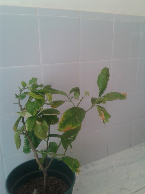 20171014_125248.jpg