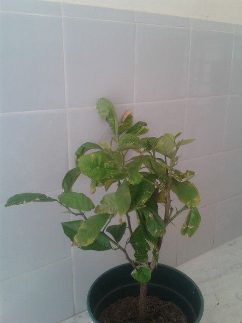 20171014_125259.jpg