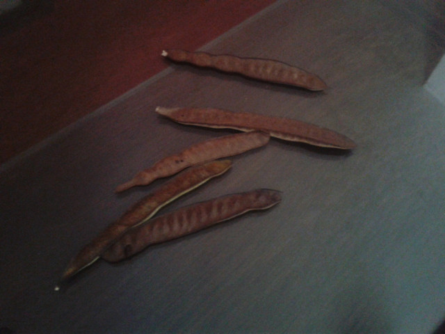 20171020_132628.jpg