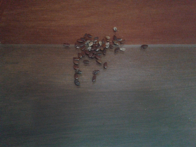 20171020_132808.jpg