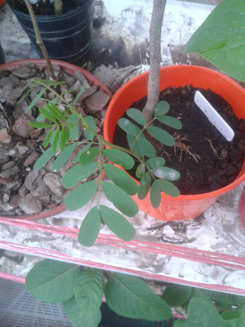 20171025_182557.jpg