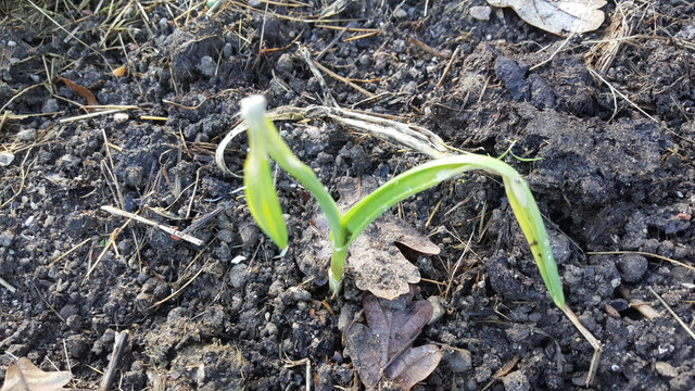 20171221_133434.jpg