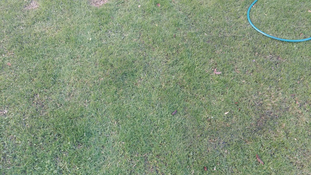 20171221_151730.jpg