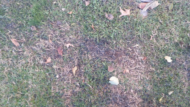 20171221_151743.jpg