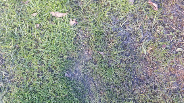 20171221_151802.jpg