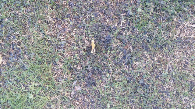 20171221_151821.jpg