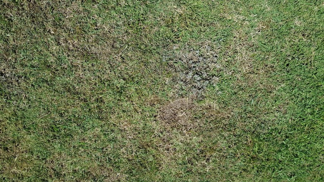 20180122_114400_Small.jpg