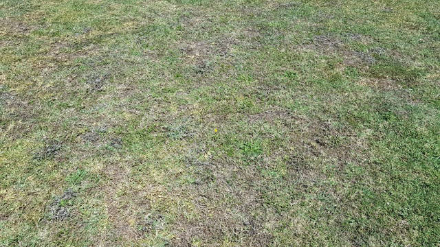 20180122_114420_Small.jpg