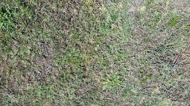 20180122_114432_Small.jpg