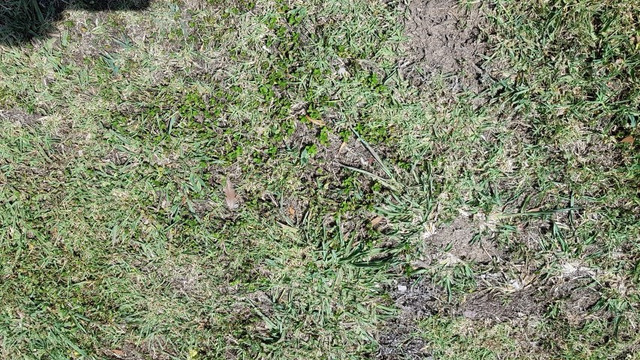 20180122_114505_Small.jpg