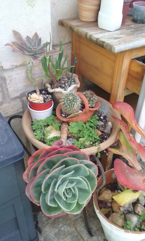 20180308_120927_2.jpg