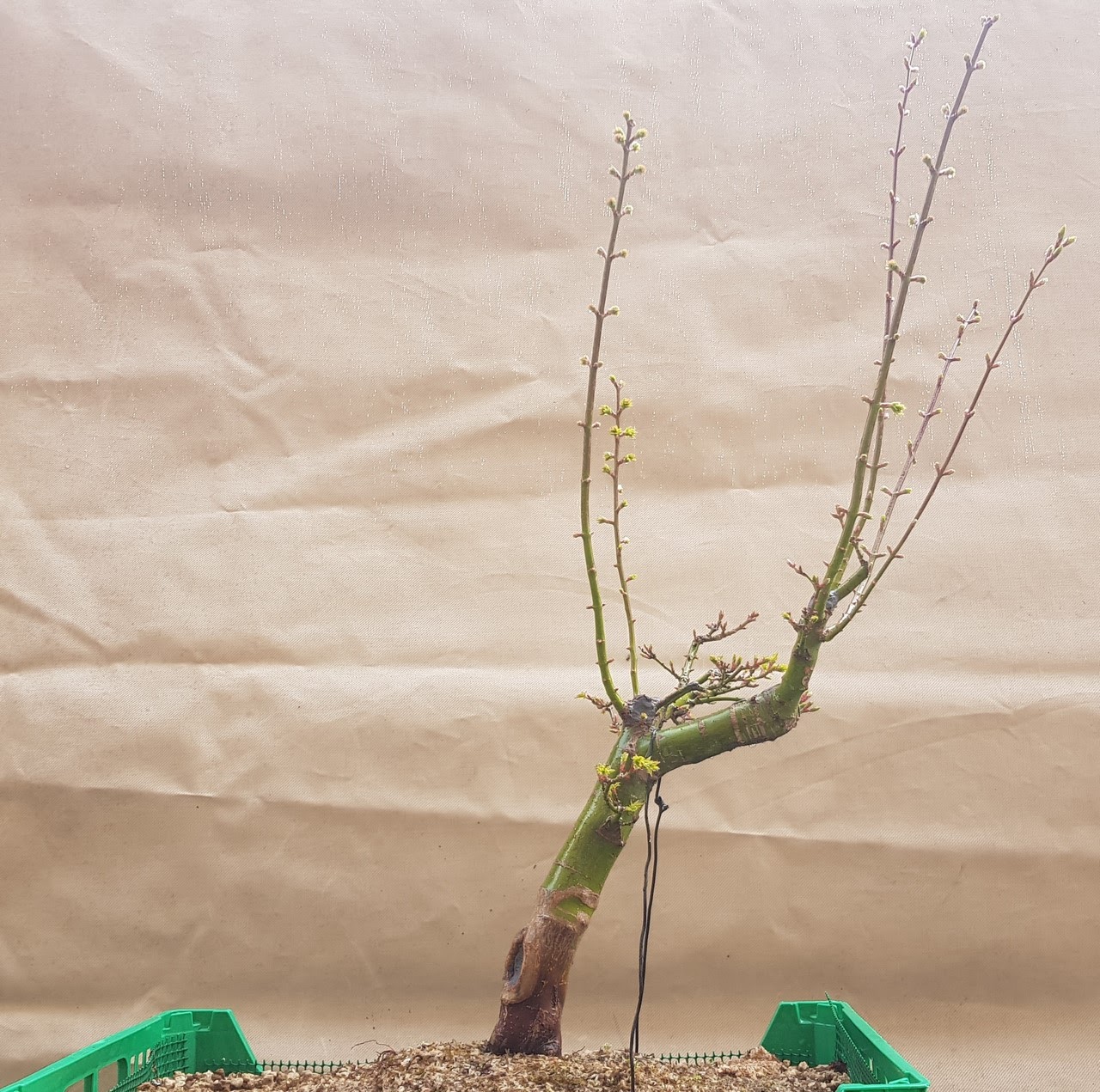 20180313_100749.jpg