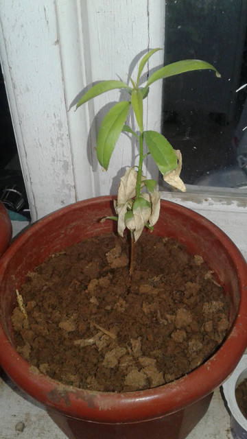20180315_162714.jpg