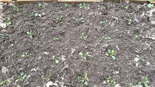 20180329_153900.jpg