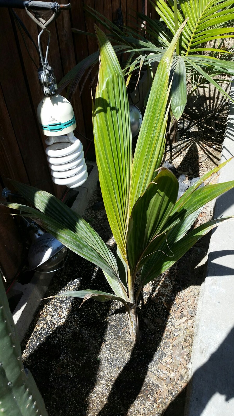 20180410_115305_1195x2124.jpg