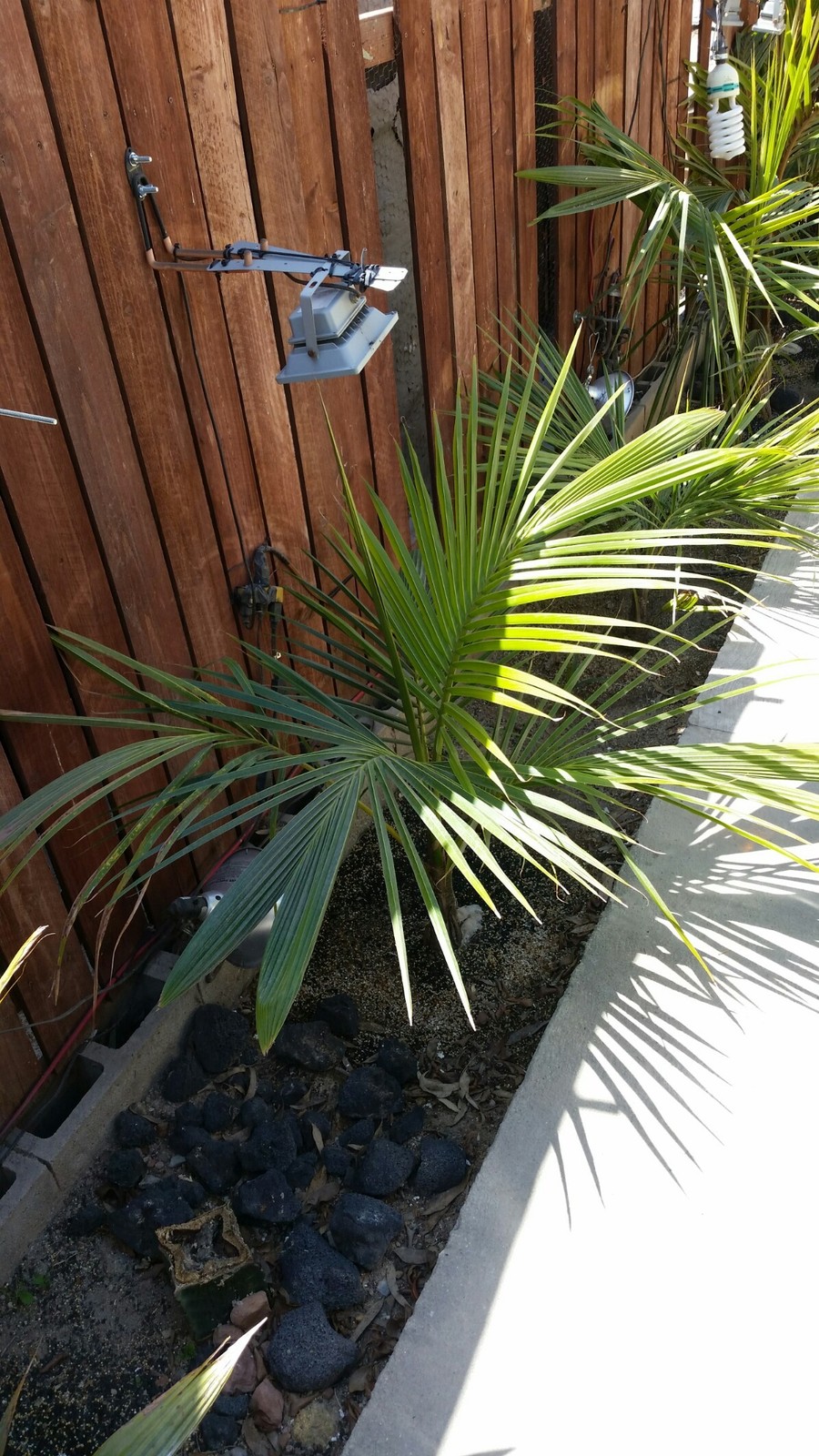 20180410_133056_1195x2124.jpg