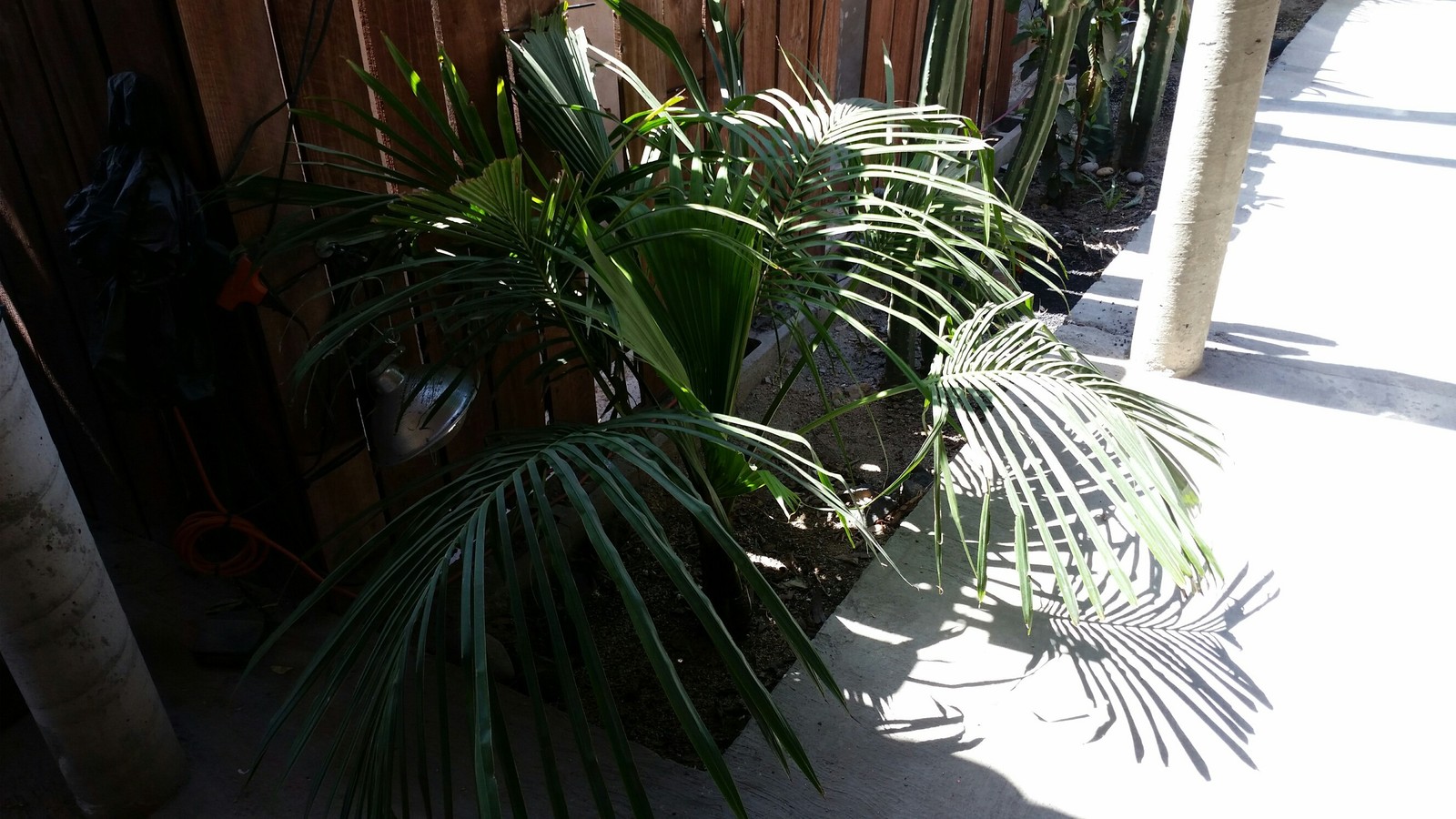 20180410_134040_2656x1494.jpg