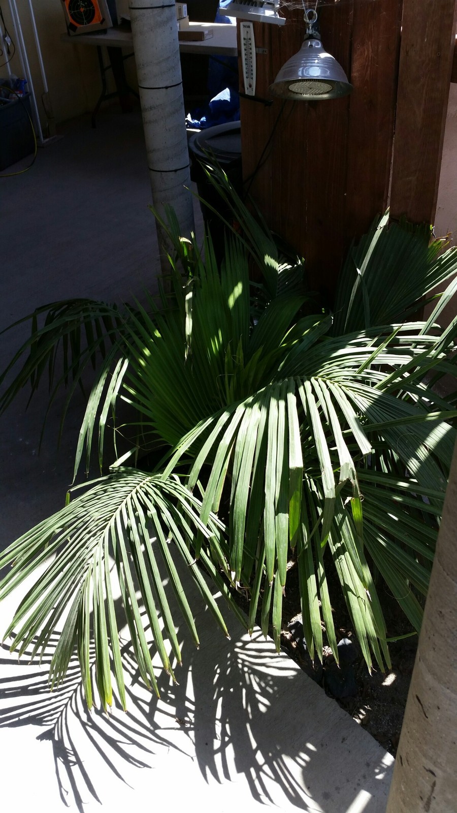 20180410_134050_1195x2124.jpg