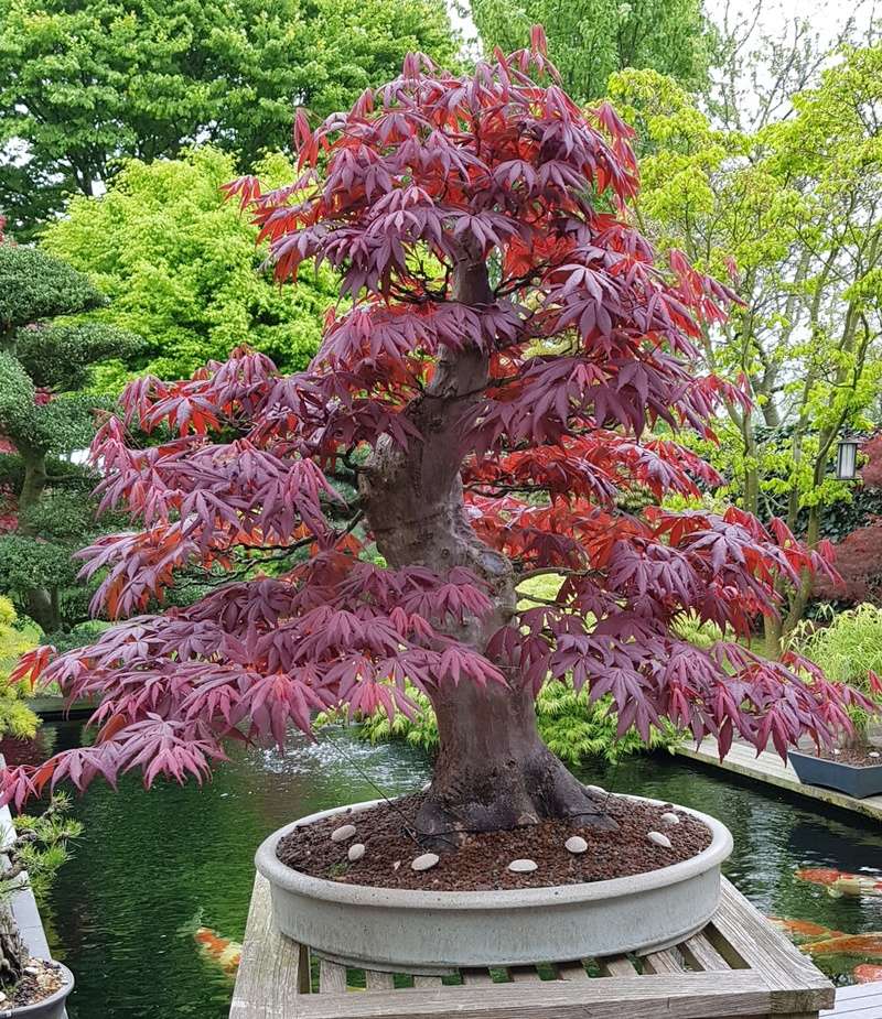 20180413.jpg