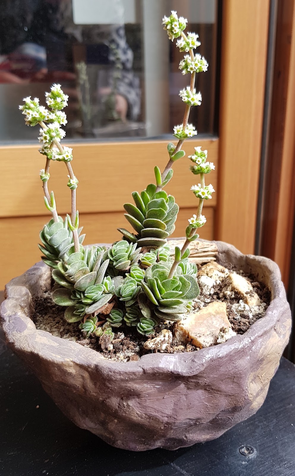 20180422_165942.jpg