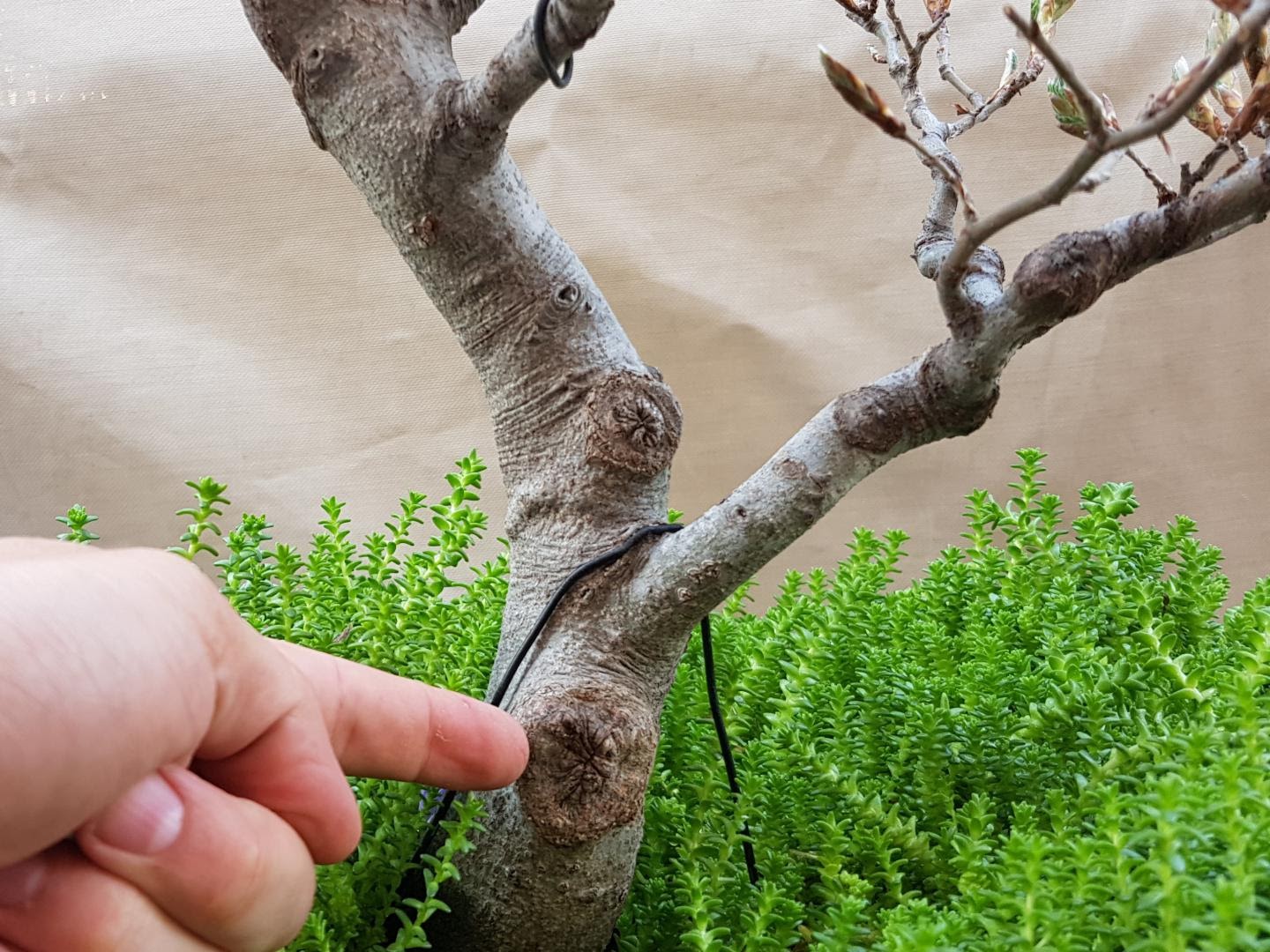 20180425_182308.jpg