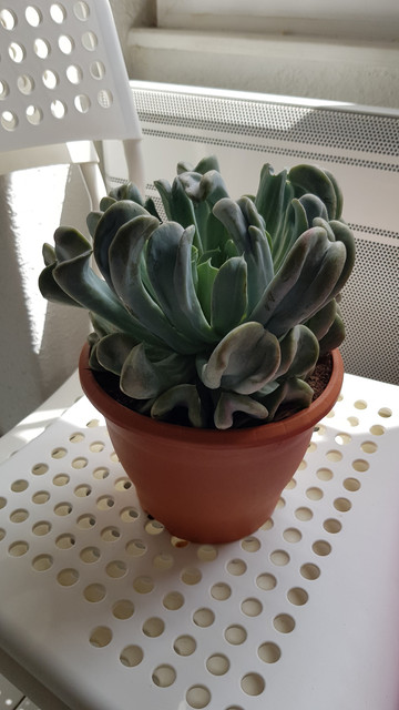 20180429_125433.jpg
